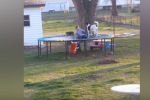 Trampolines que fallan