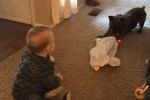 Risas de bebés increíbles